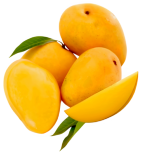 Alphonso Mangoes