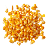 Baby Corn