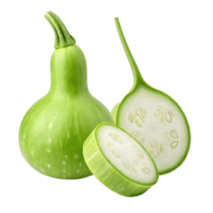 Bottle Gourd