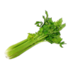Celery