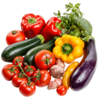 Fresh Vegetables