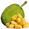 Jackfruit