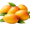 Kesar Mangoes