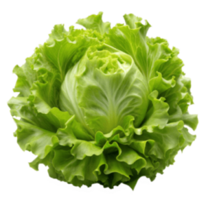 Lettuce