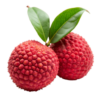 Lychee