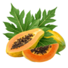 Papaya