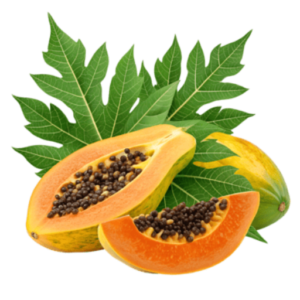 Papaya