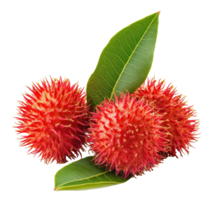 Rambutan