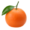 Tangerines